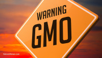 Millions for GMO propaganda: the amount of money spent to keep you in the DARK will astound you