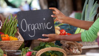 Organic foods have healthier fats, more nutrients and fewer toxic chemicals than conventional foods