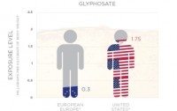 Americans At Greater Risk Of Glyphosate Exposure Than Europeans