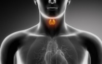 FDA Seeks to Eliminate Competition from Natural Thyroid Medications Like Armour Thyroid