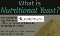 Sorting Out Yeast: Nutritional and Brewer’s