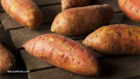 Sweet potatoes for ex-smokers: Yams have been proven to fight emphysema, lung cancer growth