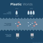 Will There be more Plastic than Fish in the Ocean by 2050?