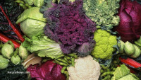 Cauliflower’s range of nutritional benefits are numerous and long-lasting