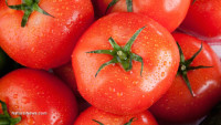 The healthiest ketchup is homemade: Learn how to make your own with organic tomatoes, adding a powerful antioxidant force to everyday meals