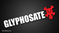 Glyphosate testing in Portugal detects highest levels ever recorded in people with no professional exposure