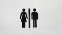 God Created “Male and Female,” Not Transgender