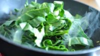 Slowing Our Metabolism with Nitrate-Rich Vegetables