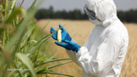 Big Biotech’s big lie: National sciences group concludes GMOs do not increase crop production