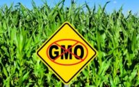 GMOs and Glyphosate Safe? National Research Council Has Conflict of Interest