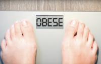 Anti-Obesity Report Calls for High-Fat Diet Recommendations