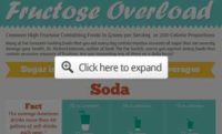 Obesity Is a Biochemical Problem Rooted in Excessive Fructose Consumption