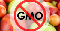 Activists launch anti-GMO billboards promoting organic food, while warning about dangers of genetically engineered crops