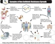 Antibiotic Resistance — What Promotes It, and How Can We Beat It?