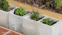 If you grow food in cinder blocks, you may be poisoning yourself with heavy metals