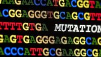 Just How Random Are Mutations?