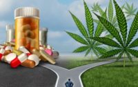 Obama Adminstration’s DEA Ignores Marijuana Therapeutic Research – Keeps Status Illegal to Protect Big Pharma