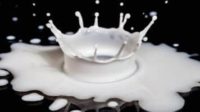 Could Lactose Explain the Milk & Parkinson’s Disease Link?