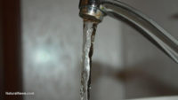 Brain damaged children: Water that meets federal heavy metals limit is still not safe to drink