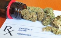 Opioid Pain Killer Drug Addictions Can Be Cured With Cannabis