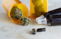 CBD Oil Without the “High” – Medical Marijuana’s New Healing Force the FDA Wants to Restrict