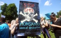 Monsanto Merger with Bayer: 3 Companies Will Soon Control 60% of World’s Seed Supply