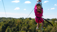 Ride the Zip Lines at Ark Encounter