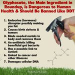 FDA Testing Finds Glyphosate Herbicide in Oatmeal, Baby Food