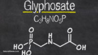 New PAN report warns of global contamination of health damaging glyphosate