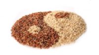 Gut Microbiome – Strike It Rich with Whole Grains