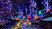 Experience the Live Nativity and Lights at the Creation Museum’s Christmas Town