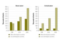 Women’s Cancer Deaths Expected to Climb 60% by 2030