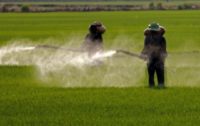 Study: Glyphosate Herbicide Associated with Greater Risk to ALS