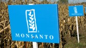 Farmers and conservation groups suing the EPA for approving Monsanto’s “XtendiMax” pesticide