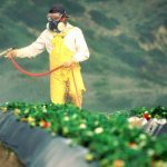 Roundup is more toxic than glyphosate alone, lawsuit claims