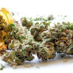 Medical cannabis – The healing pros and cons