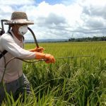 Toxic pesticides: The difference between conventional and organic foods