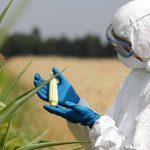 Is the EPA aiding Monsanto in covering up the cancer-causing effects of Roundup?