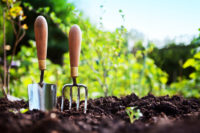 Top 10 homemade natural herbicides to tackle the weeds in your garden