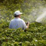 Colorado court rules pesticide drift is trespassing against adjacent landowners and people with health sensitivities