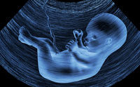 Advanced Visualization Study Shows Fetuses Feel Pain