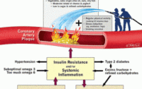 The Big Fat Lie is Officially Exposed in the British Medical Journal