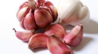 Best Food for Lead Poisoning – Garlic