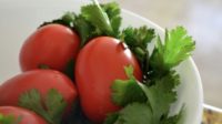 Best Foods for Lead Poisoning: Chlorella, Cilantro, Tomatoes, Moringa?