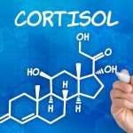 High cortisol increases the risk of disease and premature death