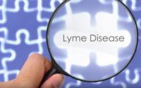 Online FREE Chronic Lyme Disease Summit Starts Next Week