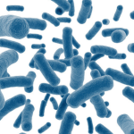 Microbiome – Gut health discoveries revealed