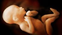 Study: Babies Drawn to Faces Before They’re Born