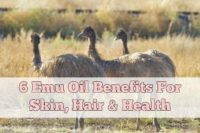 6 Emu Oil Benefits For Skin, Hair & Health