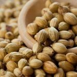 Coriander is a potent weapon against antibiotic resistant bacteria